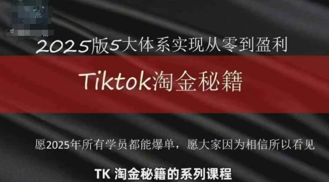 TikTok跨境2025淘金秘籍，​2025TikTok从0到盈利变现-南友云赚