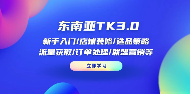 东南亚TK3.0：新手入门/店铺装修/选品策略/流量获取/订单处理/联盟营销等-南友云赚