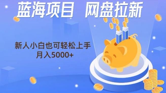 蓝海项目网盘拉新，新人小白也可操作，每月收入5000+-南友云赚