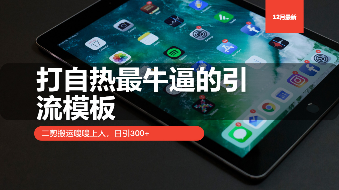 打自热最牛逼的引流模板，二剪搬运嗖嗖上人，日引300+-南友云赚