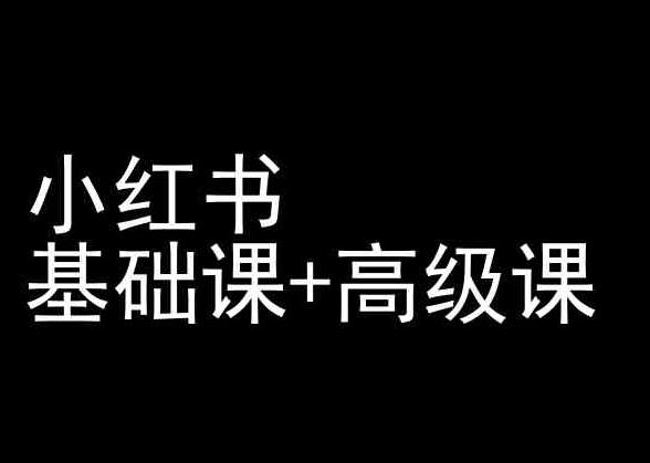 小红书基础课+高级课-小红书运营教程-南友云赚