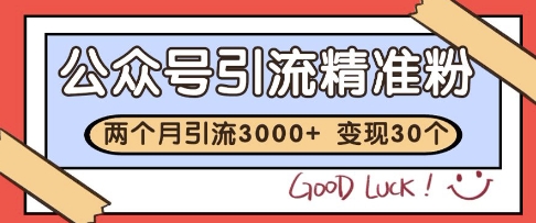 公众号精准粉引流玩法，2个月3000+精准粉，变现30个W【揭秘】-南友云赚
