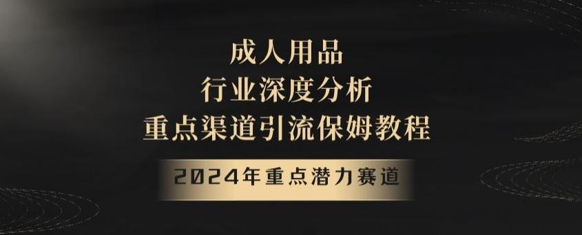 2024年重点潜力赛道，成人用品行业深度分析，重点渠道引流保姆教程【揭秘】-南友云赚