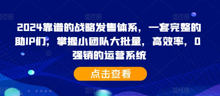 2024靠谱的战略发售体系，一套完整的助IP们，掌握小团队大批量，高效率，0 强销的运营系统-南友云赚