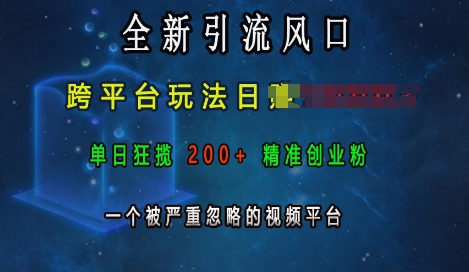 全新引流风口，跨平台玩法日入上k，单日狂揽200+精准创业粉，一个被严重忽略的视频平台-南友云赚