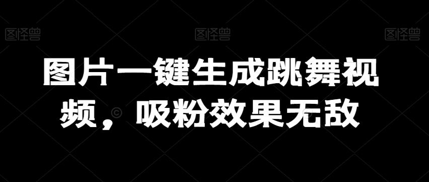图片一键生成跳舞视频，吸粉效果无敌-南友云赚
