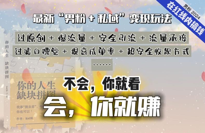 2024，“男粉+私域”还是最耐造、最赚、最轻松、最愉快的变现方式【揭秘】-南友云赚
