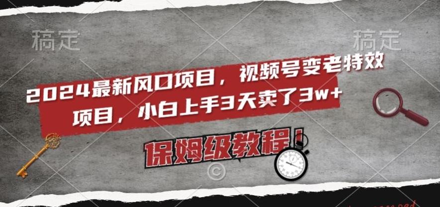 2024最新风口项目，视频号变老特效项目，电脑小白上手3天卖了3w+，保姆级教程【揭秘】-南友云赚