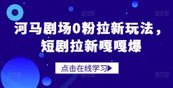 河马剧场0粉拉新玩法，短剧拉新嘎嘎爆-南友云赚