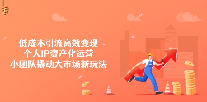 低成本引流高效变现，个人IP资产化运营，小团队撬动大市场新玩法-南友云赚