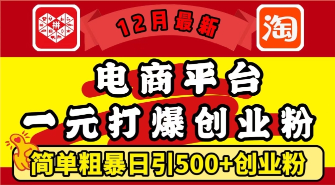 12月最新：电商平台1元打爆创业粉，简单粗暴日引500+精准创业粉，轻松月入过W【揭秘】-南友云赚