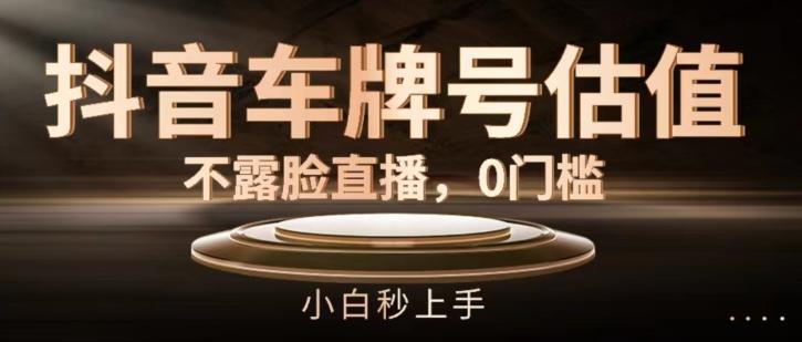 抖音车牌号估值，不露脸直播，0门槛，小白秒上手【揭秘】-南友云赚