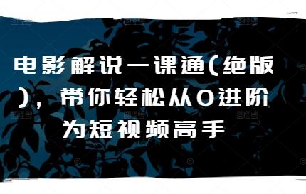 电影解说一课通(绝版)，带你轻松从0进阶为短视频高手-南友云赚