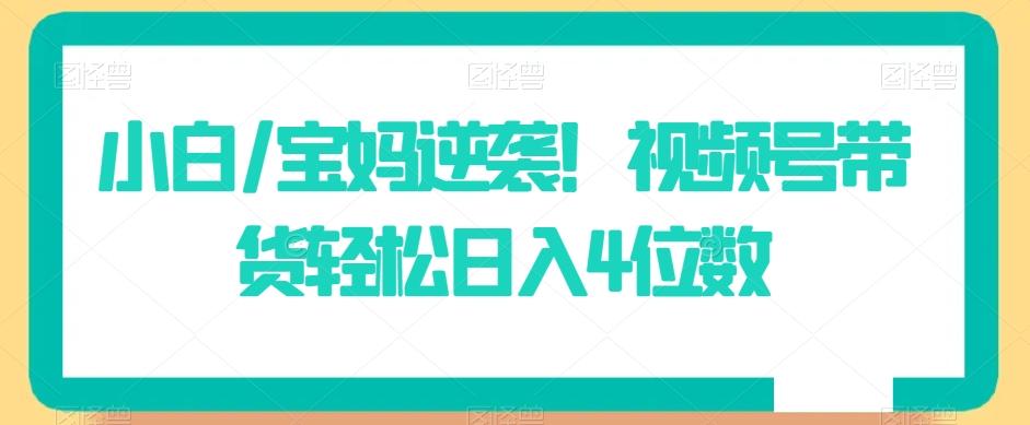 小白/宝妈逆袭！视频号带货轻松日入4位数【揭秘】-南友云赚