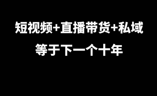 短视频+直播带货+私域等于下一个十年，大佬7年实战经验总结-南友云赚