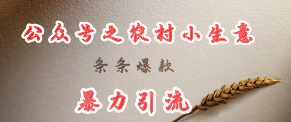 deepseek写农村小项目，条条爆款，暴力引流-南友云赚