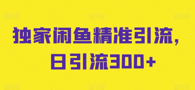 独家闲鱼精准引流，日引流300+【揭秘】-南友云赚