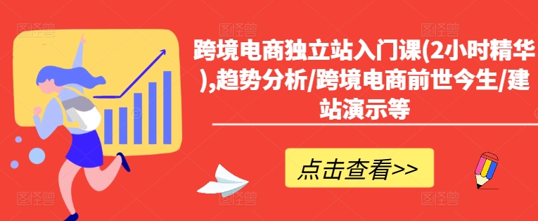 跨境电商独立站入门课(2小时精华),趋势分析/跨境电商前世今生/建站演示等-南友云赚