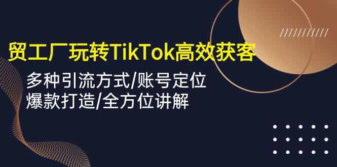 外贸工厂玩转TikTok高效获客，多种引流方式/账号定位/爆款打造/全方位讲解-南友云赚