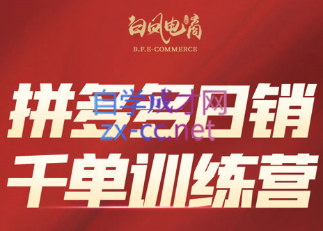 白凤电商·拼多多日销千单训练营(更新3月)-南友云赚