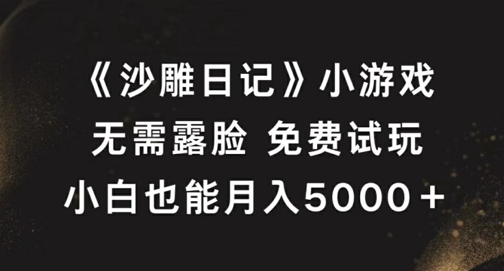 《沙雕日记》小游戏，无需露脸免费试玩，小白也能月入5000+【揭秘】-南友云赚