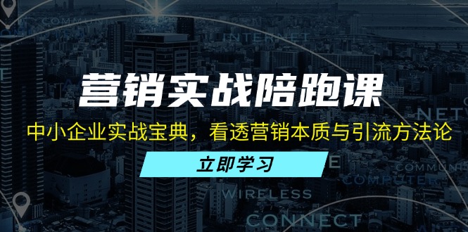 营销实战陪跑课：中小企业实战宝典，看透营销本质与引流方法论-南友云赚