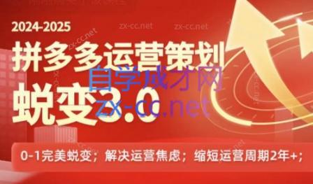大力老师·2024拼多多运营策略蜕变3.0-南友云赚