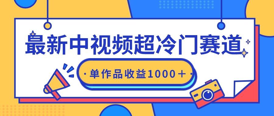 (9275期)最新中视频超冷门赛道，轻松过原创，单条视频收益1000＋-南友云赚