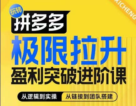 拼多多极限拉升盈利突破进阶课，​从算法到玩法，从玩法到团队搭建，体系化系统性帮助商家实现利润提升-南友云赚