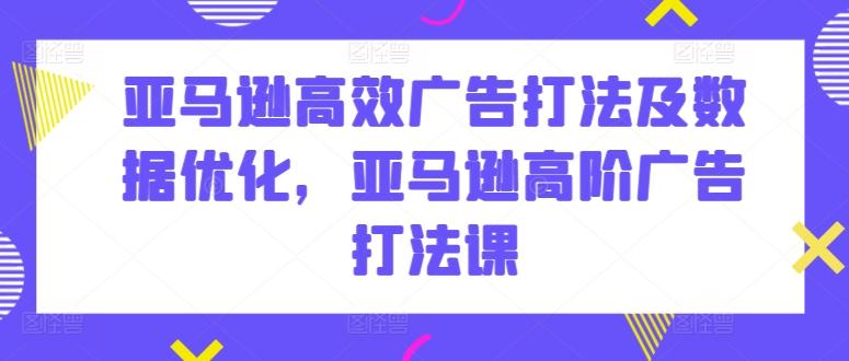 亚马逊高效广告打法及数据优化，亚马逊高阶广告打法课-南友云赚