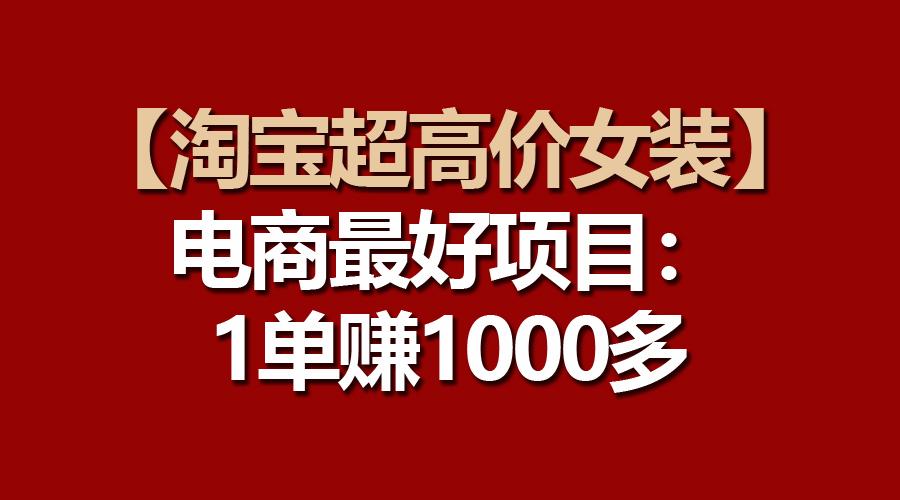 【淘宝超高价女装】电商最好项目：一单赚1000多-南友云赚