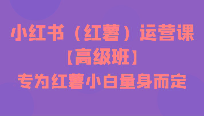 小红书(红薯)运营课【高级班】，专为红薯小白量身而定(42节课)-南友云赚
