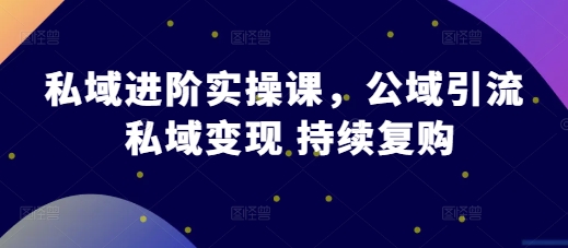 私域进阶实操课，公域引流 私域变现 持续复购-南友云赚