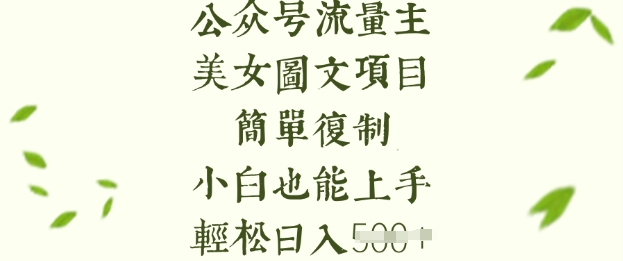 流量主长期收益项目，美女图片简单复制，小白也能上手，轻松日入5张-南友云赚