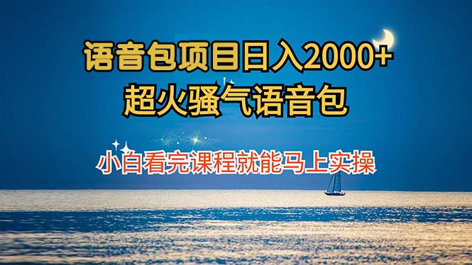 语音包项目 日入2000+ 超火骚气语音包小白看完课程就能马上实操-南友云赚