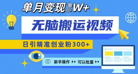 无脑搬运视频号可批量复制，新手即可操作，日引精准创业粉300+，月变现过W 【揭秘】-南友云赚