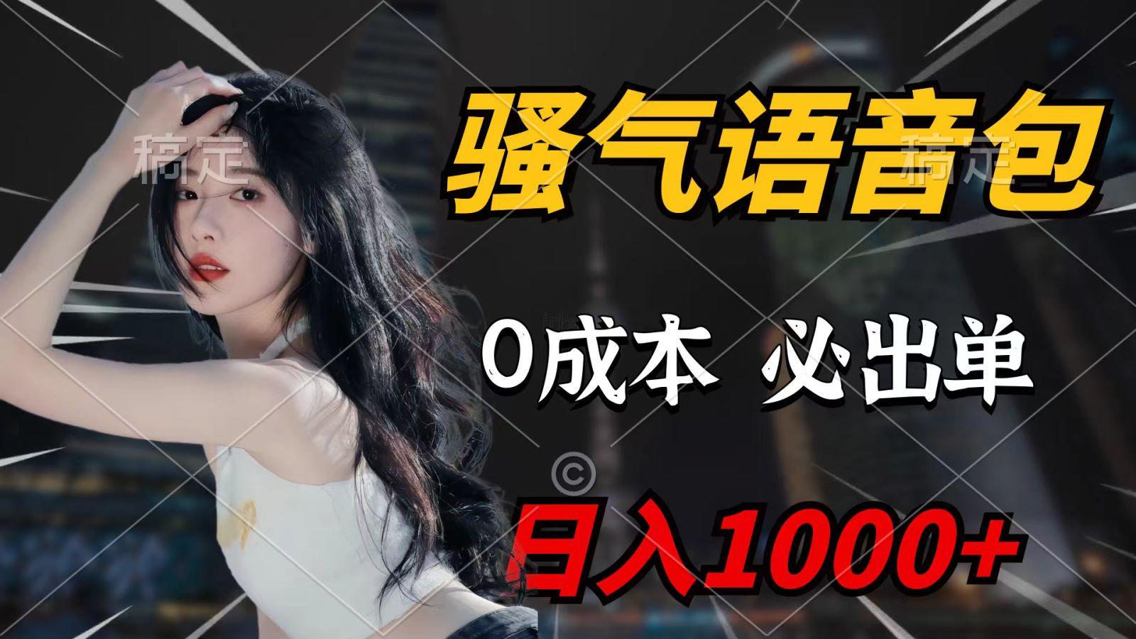 (9701期)骚气语音包，0成本一天1000+，闭着眼也能出单，详细教程！-南友云赚