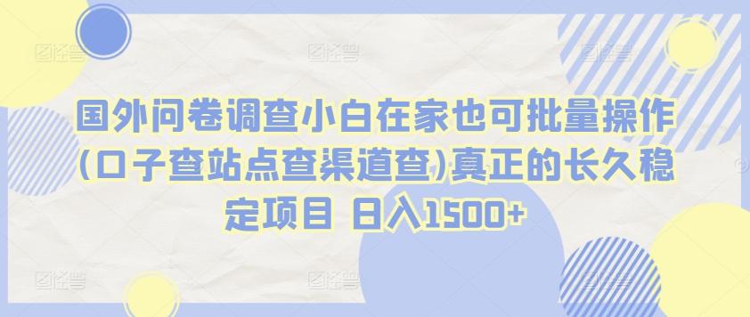 国外问卷调查小白在家也可批量操作(口子查站点查渠道查)真正的长久稳定项目 日入1500+【揭秘】-南友云赚