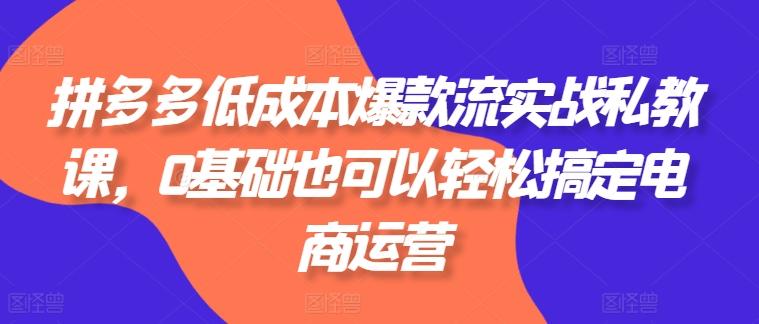 拼多多低成本爆款流实战私教课，0基础也可以轻松搞定电商运营-南友云赚