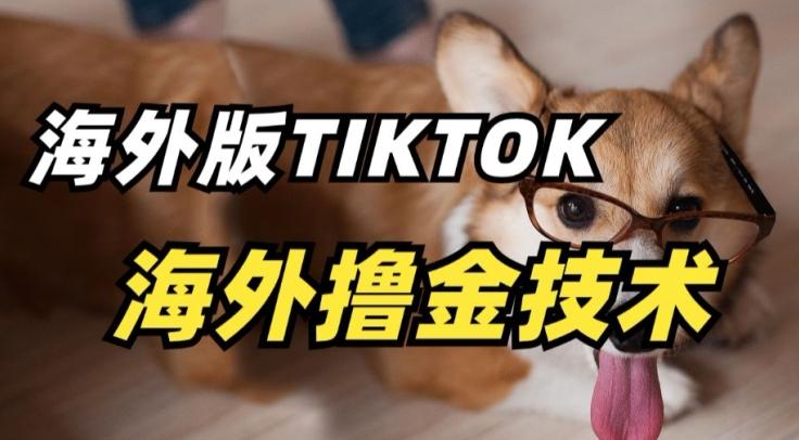 抖音海外版tiktok撸金技术，这个风口行业，赚钱真的不难【揭秘】-南友云赚