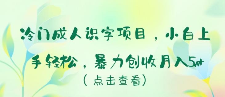 冷门成人识字项目，小白上手轻松，暴力创收月入5w+【揭秘】-南友云赚
