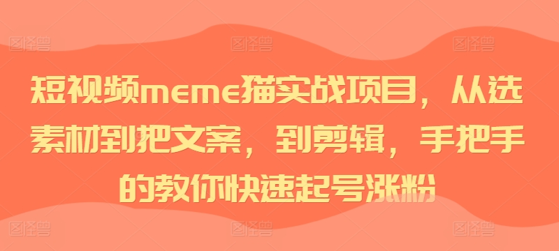 短视频meme猫实战项目，从选素材到把文案，到剪辑，手把手的教你快速起号涨粉-南友云赚