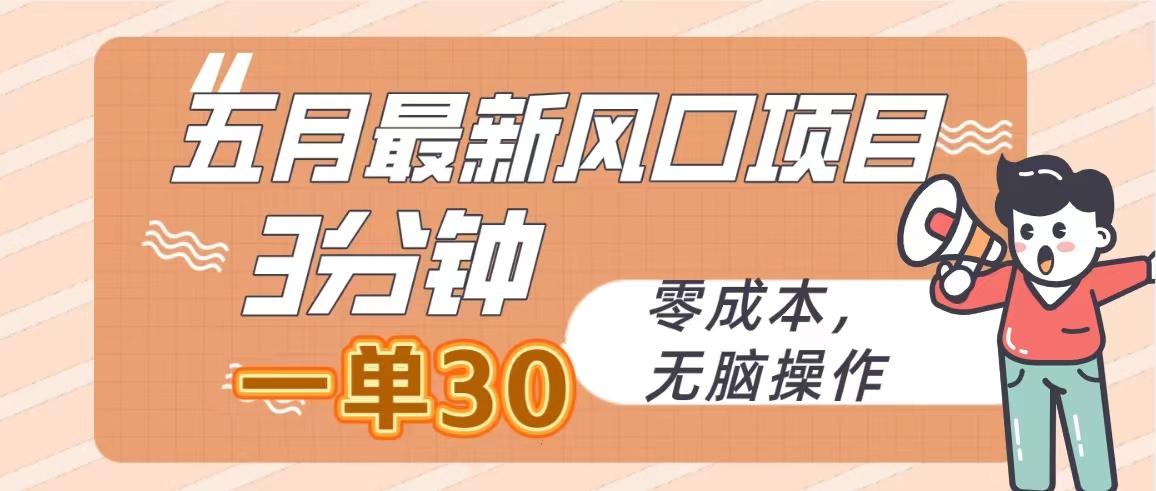 五月最新风口项目，3分钟一单30，零成本，无脑操作-南友云赚