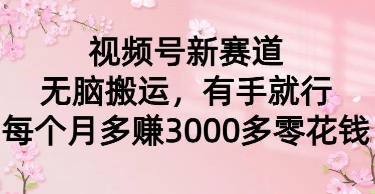 (9278期)视频号新赛道，无脑搬运，有手就行，每个月多赚3000多零花钱-南友云赚