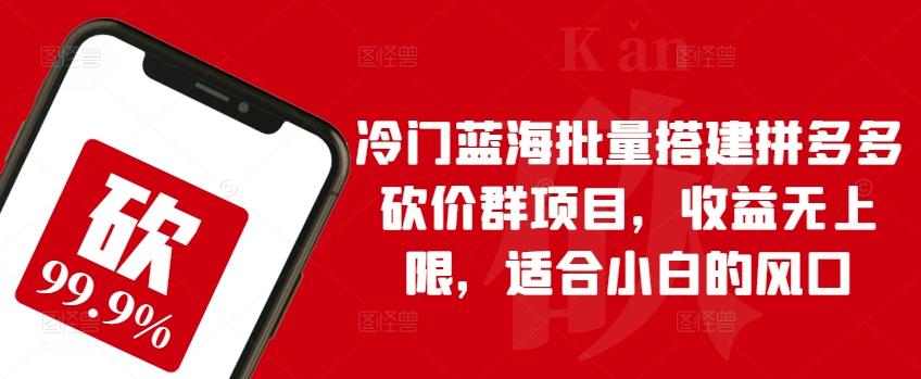 冷门蓝海批量搭建拼多多砍价群项目，收益无上限，适合小白的风口【揭秘】-南友云赚