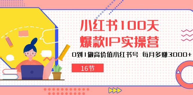 小红书100天-爆款IP实操营，0到1做高价值小红书号 每月多赚3000+(16节-南友云赚