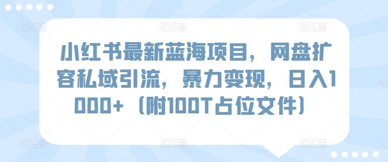 小红书最新蓝海项目，网盘扩容私域引流，暴力变现，日入1000+(附100T占位文件)【揭秘】-南友云赚