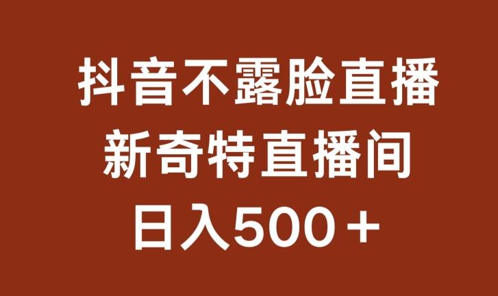不露脸挂机直播，新奇特直播间，日入500+【揭秘】-南友云赚