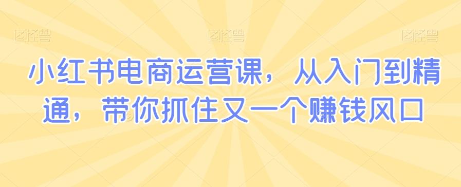 小红书电商运营课，从入门到精通，带你抓住又一个赚钱风口-南友云赚