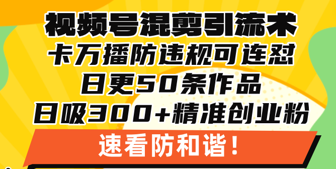 视频号混剪引流技术，500万播放引流17000创业粉，操作简单当天学会-南友云赚